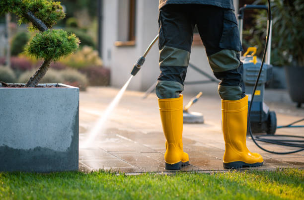 Best Pressure Washing Company Near Me  in White Horse, NJ